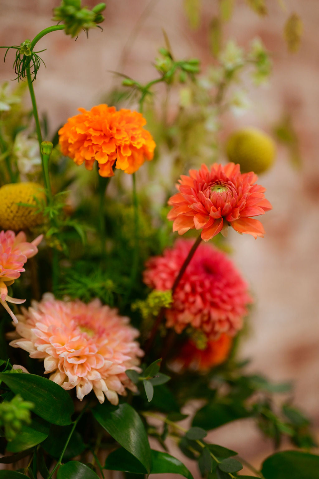 Flower Subscription